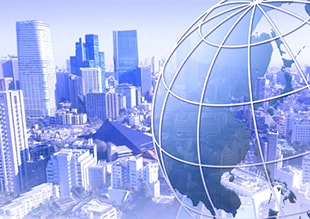 輸入代理、輸入コンサル業務